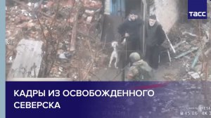 Кадры из освобожденного Северска