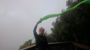 Штормовой ветер на вершине горы в национальном парке Спрингбрук в Голд-Косте, Австралия.