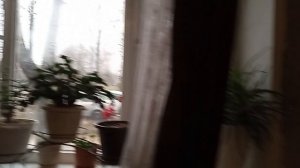 11-12-2025  привезли телек 43 дюйм подключили. всем спасибо