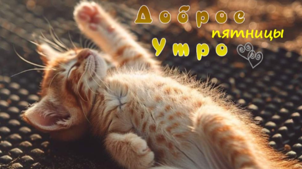 Доброе утро пятницы – тёплые пожелания в красивой открытке