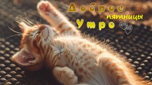 Доброе утро пятницы – тёплые пожелания в красивой открытке