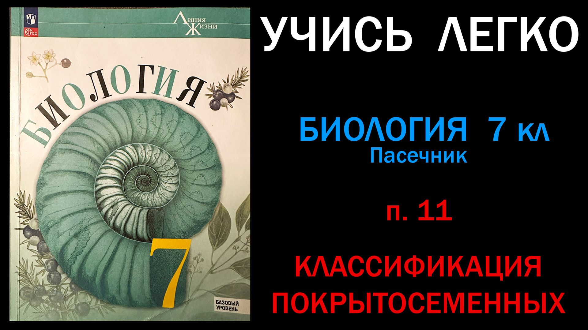 Биология 7 класс Пасечник, Суматохин параграф 11 Классификация покрытосеменных. слушать онлайн