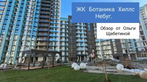 Botanica Hills, Небуг