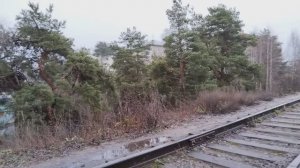 Хроника моего дня. Наши секреты и покупки.