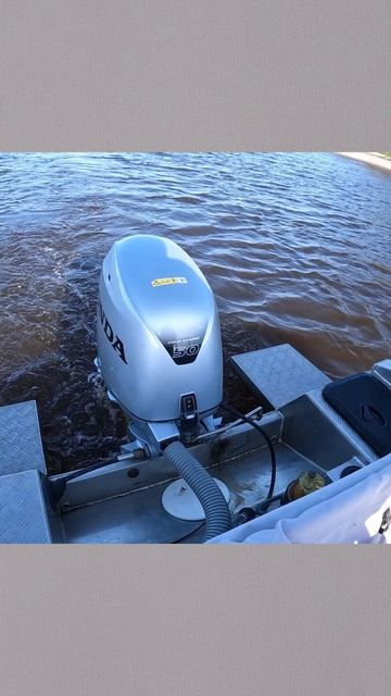 Мурлыканье Хонды 50