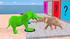 Long Slide Game With Cow Elephant Gorilla Hippopotamus Tiger - 3d Animal Game - Funny 3d Animals