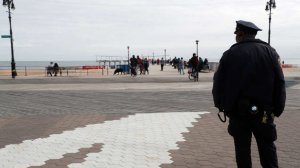 Человеческий череп нашли в кустах у набережной