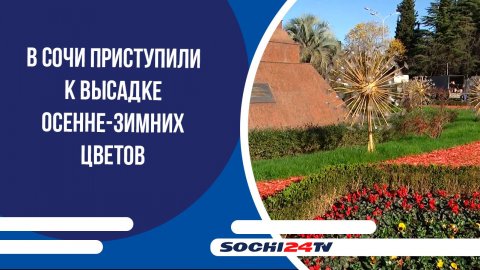 В Сочи приступили к высадке осенне-зимних цветов