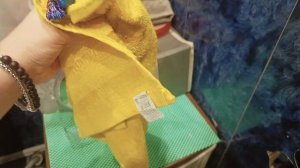 игрушка . кот марк