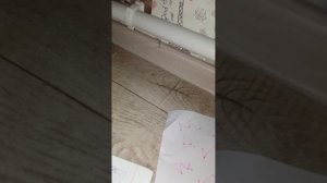 басики шпионы...