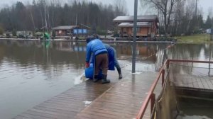 Запуск форели