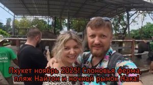 Пхукет ноябрь 2025.Поездка на слоновью ферму, пляж Найтон и ночной рынок Нака