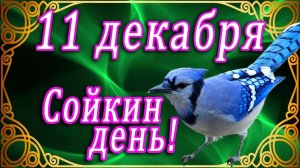 11 ДЕКАБРЯ – СОЙКИН ДЕНЬ