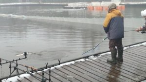 Основной водоём. Донка.