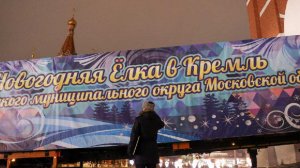 Главную новогоднюю ель страны доставили в Кремль