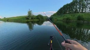 С ТАКИМ ОКУНЕМ И ЩУКА НЕ НУЖНА! Рыбалка на летний спиннинг 2025