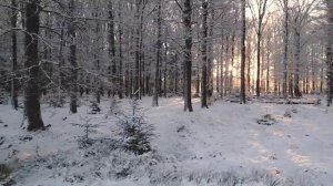 Откройте свой Ключ к Мудрости 12 декабря