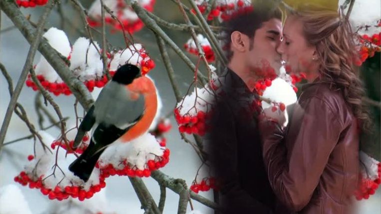 ЗАПОЗДАЛАЯ ЛЮБОВЬ... романтическая песня о любви!!! Автор слов песни и исполнение: Геннадий Евс