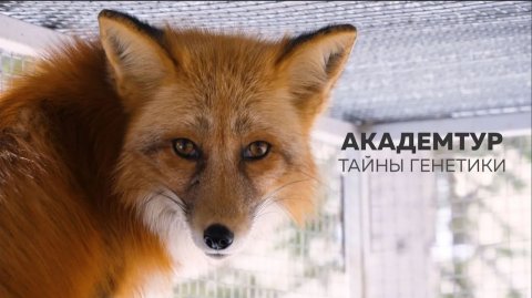 Академтур I Тайны генетики