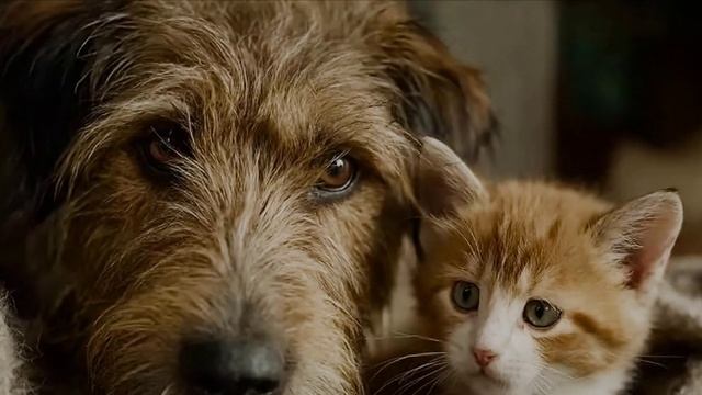 Всем законам вопреки.