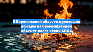 Пожар начался на промышленном объекте после атаки БПЛА на Воронежскую область