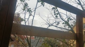 СОЧИ ГОРНОЕ ЛОО ВЕЧЕР 11.12.2025