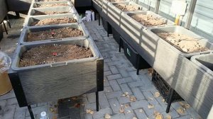 "Возмутительная" теплица Ботаник 2,8х4,42м с "парящими" грядами