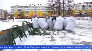 Началась установка главной новогодней ёлки города