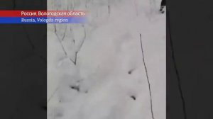 Новости Сегодня 11122025 - Катаклизмы сегодня ЧП События дня Россия США Китай Индия Европа