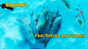 Подкова - не оставит, без улова. Зимняя рыбалка 2020.