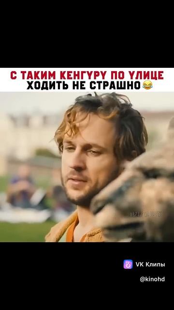 Приколы с животными