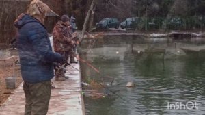 Рыбы много в Липках 🐟🐟🐟