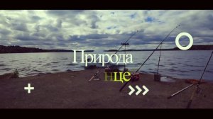 Отдых, природа, Друзья