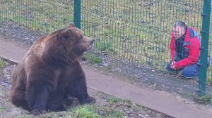 Папа Андрей навестил Мансура в перерыве между спячками 🐻💤