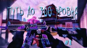 Путь с 0 до 300 уровня в стендофф 2 #1. Первая катка