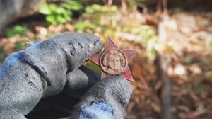 Поиски с металлоискателем в заросшей посадке