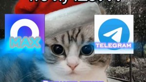 что лучше? MAX ??? или ТГК ???