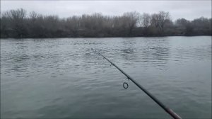 Ловлю на тонущую бомбарду, река Дон, понтонный мост, мкр. Малышево, г.Воронеж, 07.12.2025 года