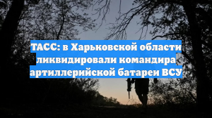 ТАСС: в Харьковской области ликвидировали командира артиллерийской батареи ВСУ