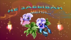 Сергей Серафимов - Не забывай