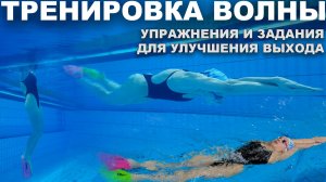 Отработка волны под водой для взрослых пловцов