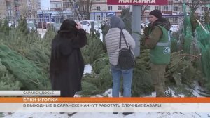 В Саранске начинают работу ёлочные базары