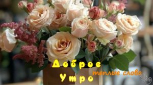 красивые открытки с добрым утром – тёплые видео, чтобы начать день с улыбки