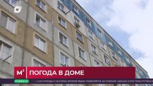 Квадратные метры / Санитарная обрезка / 09.12.25