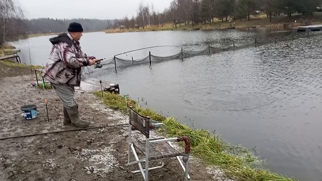Светлые Горы Форель 11.12.2025г.