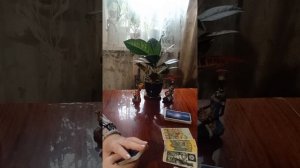 Таро.Что нового вы откроете для себя.