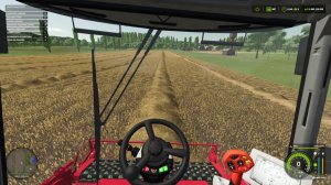 фс25 сосновка