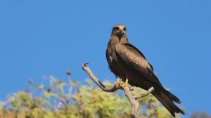 КРАСИВАЯ МУЗЫКА ДЛЯ РЕЛАКСАЦИИ - ШИКАРНАЯ МУЗЫКА! ЛУЧШАЯ МУЗЫКА ДЛЯ ДУШИ!