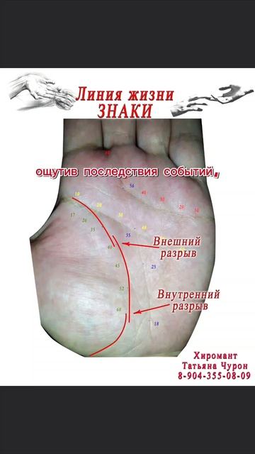 Линия жизни. Знаки. Внутренний разрыв.
fyp хиромантия жизнь обучение лучшее