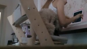 танго смерти на пианино